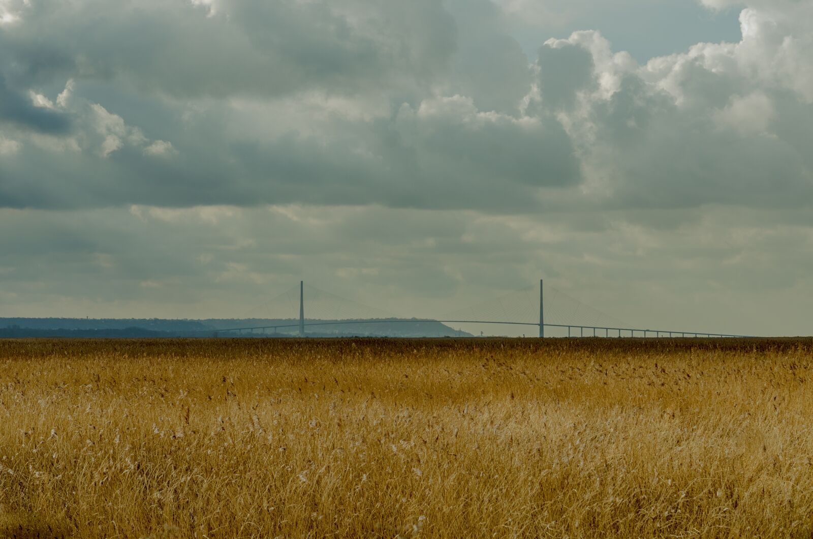Nikon D7000 sample photo. France, landscape, reed bed photography