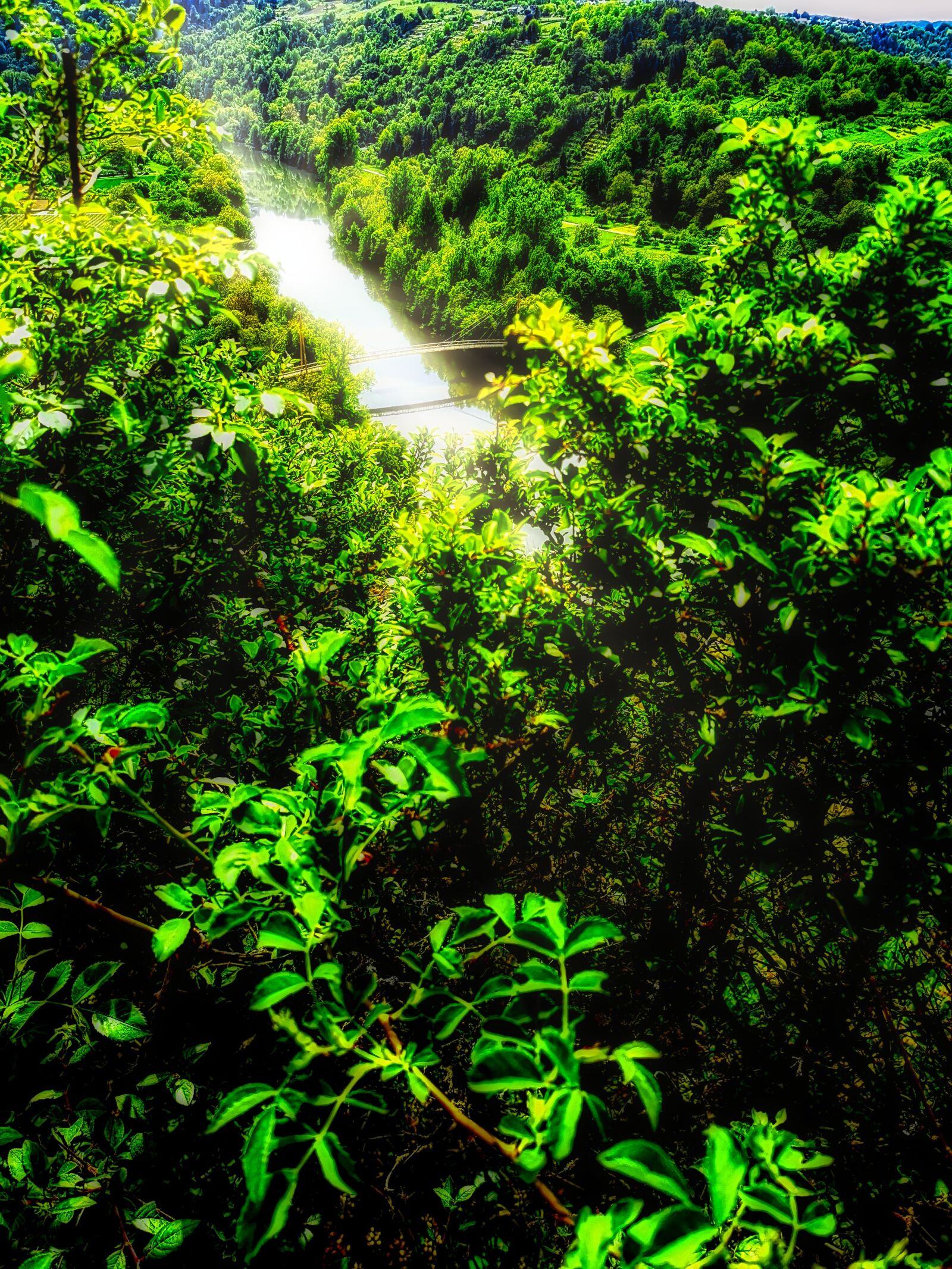 HUAWEI P30 Pro sample photo. River, nature, green photography