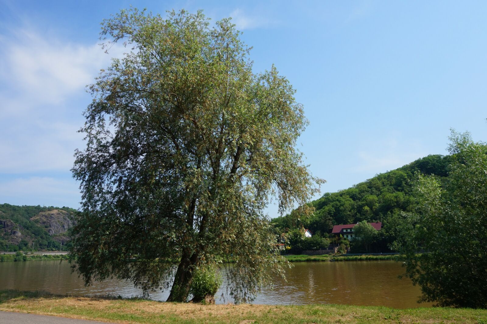 Sony Alpha a5000 (ILCE 5000) sample photo. Vltava river, czechia, vltava photography