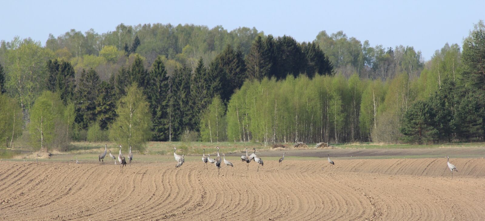 Canon EOS 60D sample photo. Nature, landscape photography