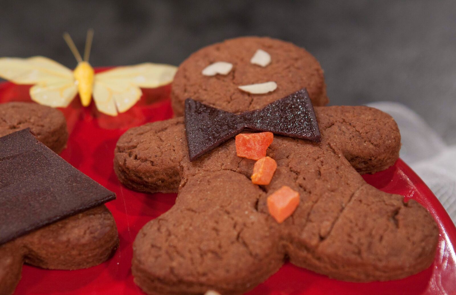 Canon EOS 50D sample photo. Gingerbread, gingerbread man, cookie photography