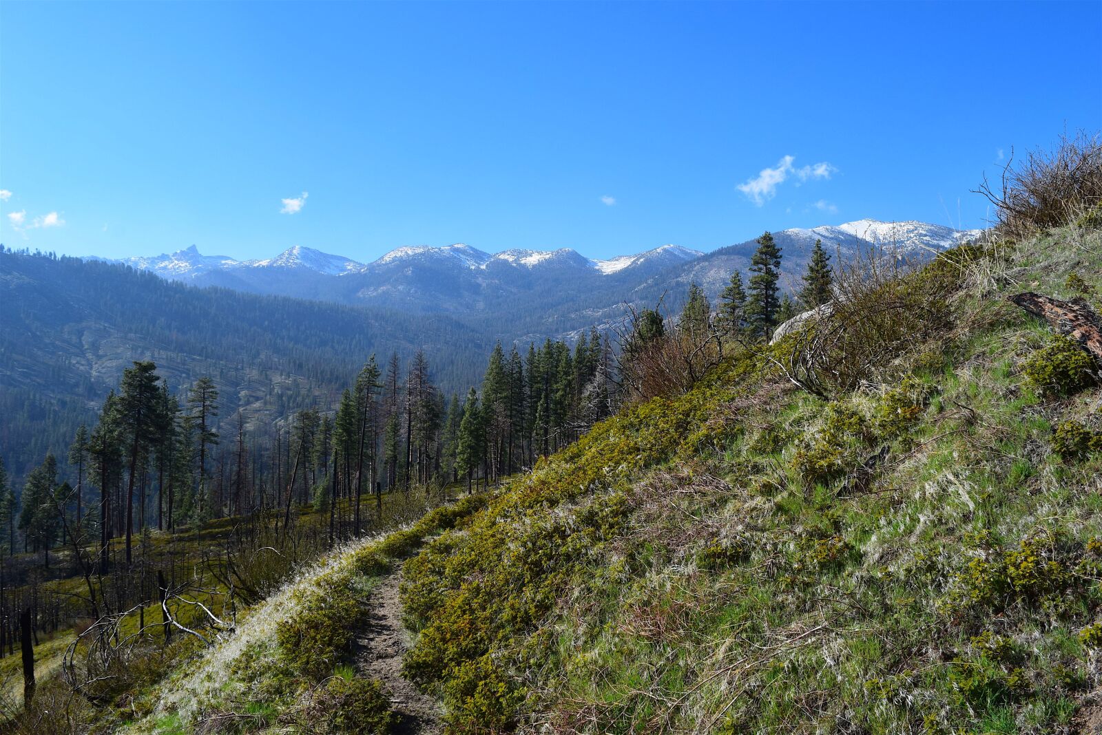 Nikon D3300 sample photo. Mountains, nature, trees photography