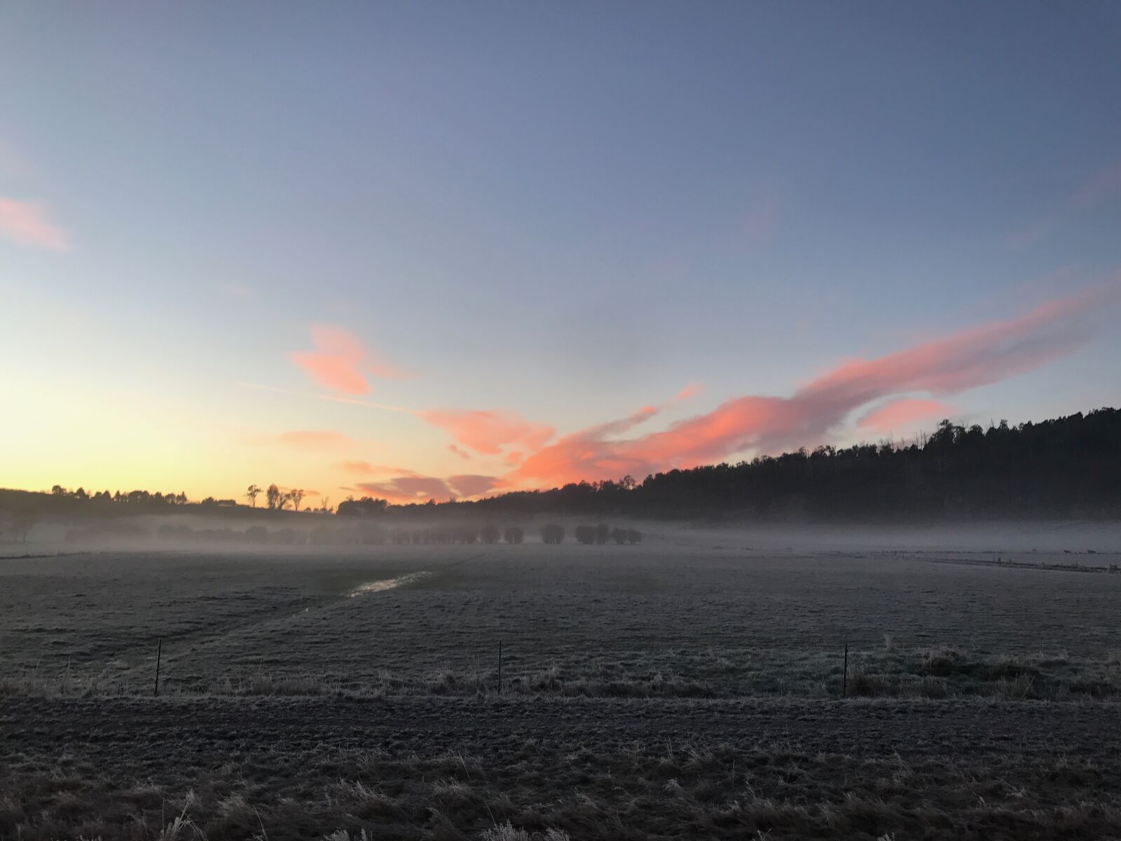 iPhone 7 back camera 3.99mm f/1.8 sample photo. Early, morning, fog photography