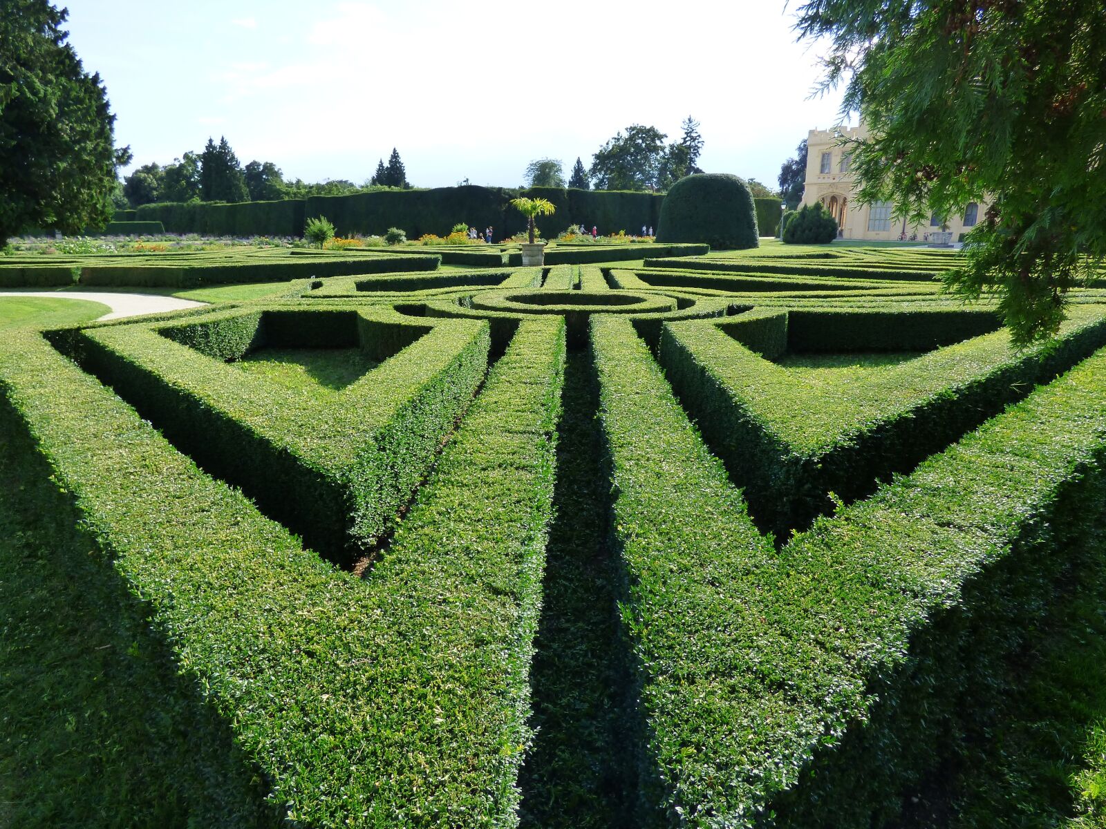 Panasonic DMC-FZ72 sample photo. Maze, hedge, green photography