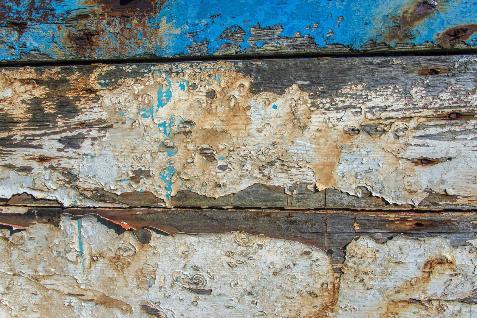 Nikon D610 sample photo. Texture, old boat, wood photography