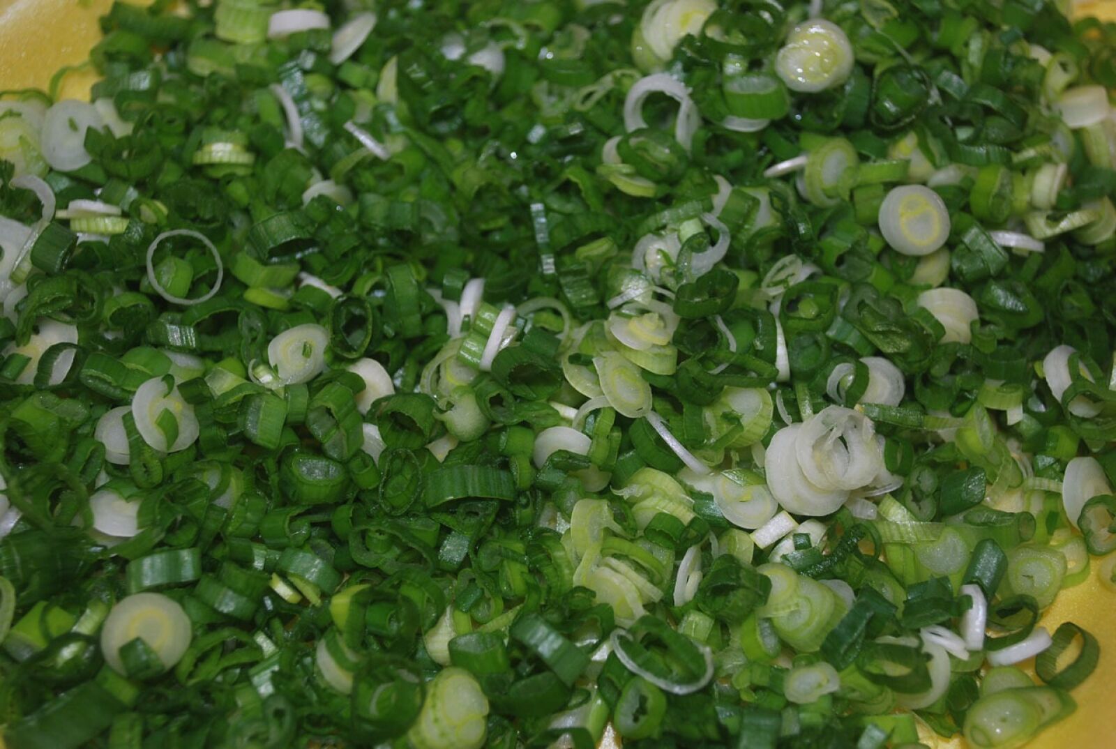 Nikon D60 sample photo. Onion, green, spring photography