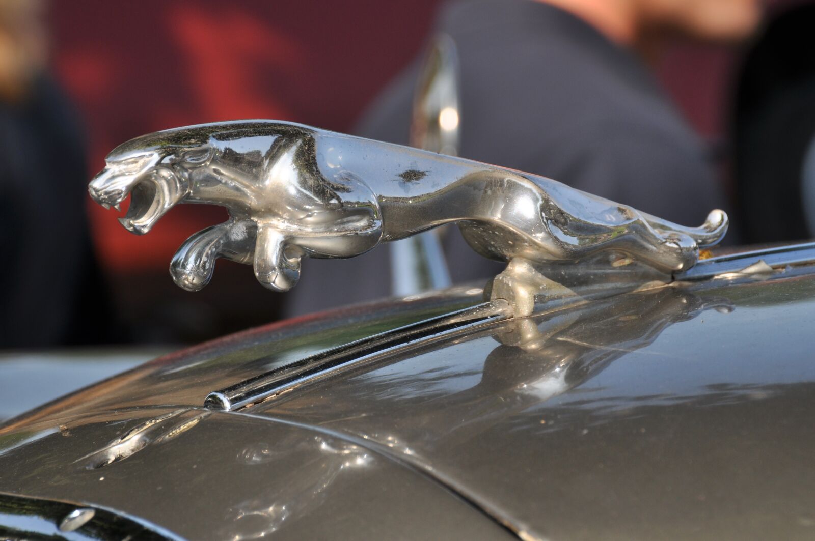 Nikon D90 sample photo. Jaguar, cool figure, oldtimer photography