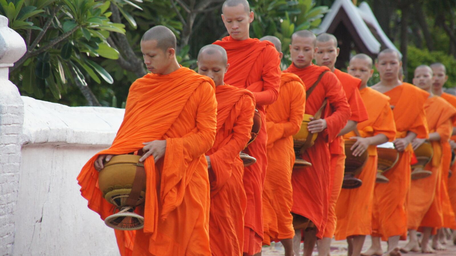 Sony SLT-A55 (SLT-A55V) sample photo. Laos, luang prabang, alms photography