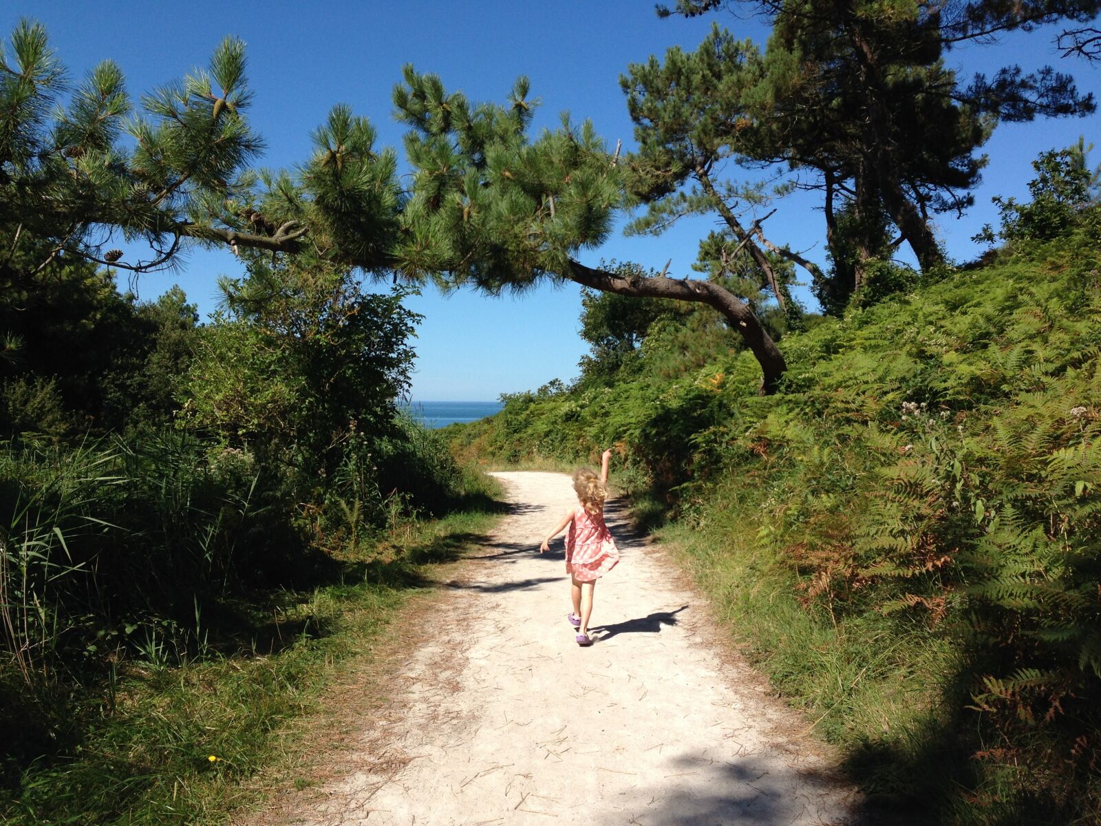 iPhone 5 back camera 4.12mm f/2.4 sample photo. Beach, path, holiday photography
