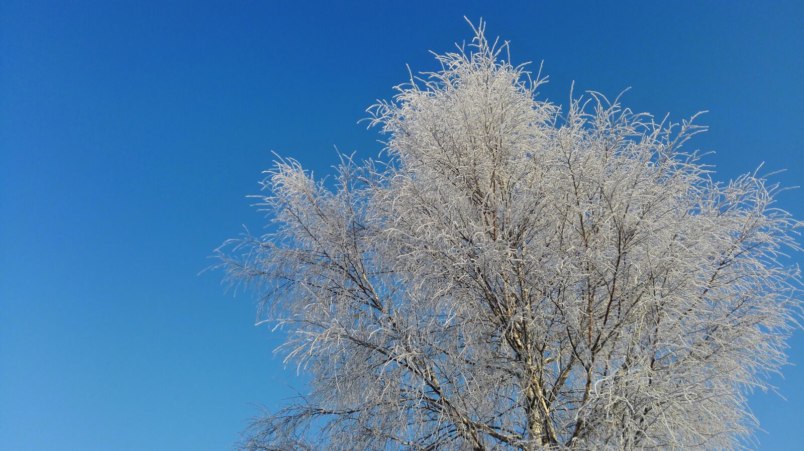 HUAWEI H60-L04 sample photo. Winter, sky, snow photography