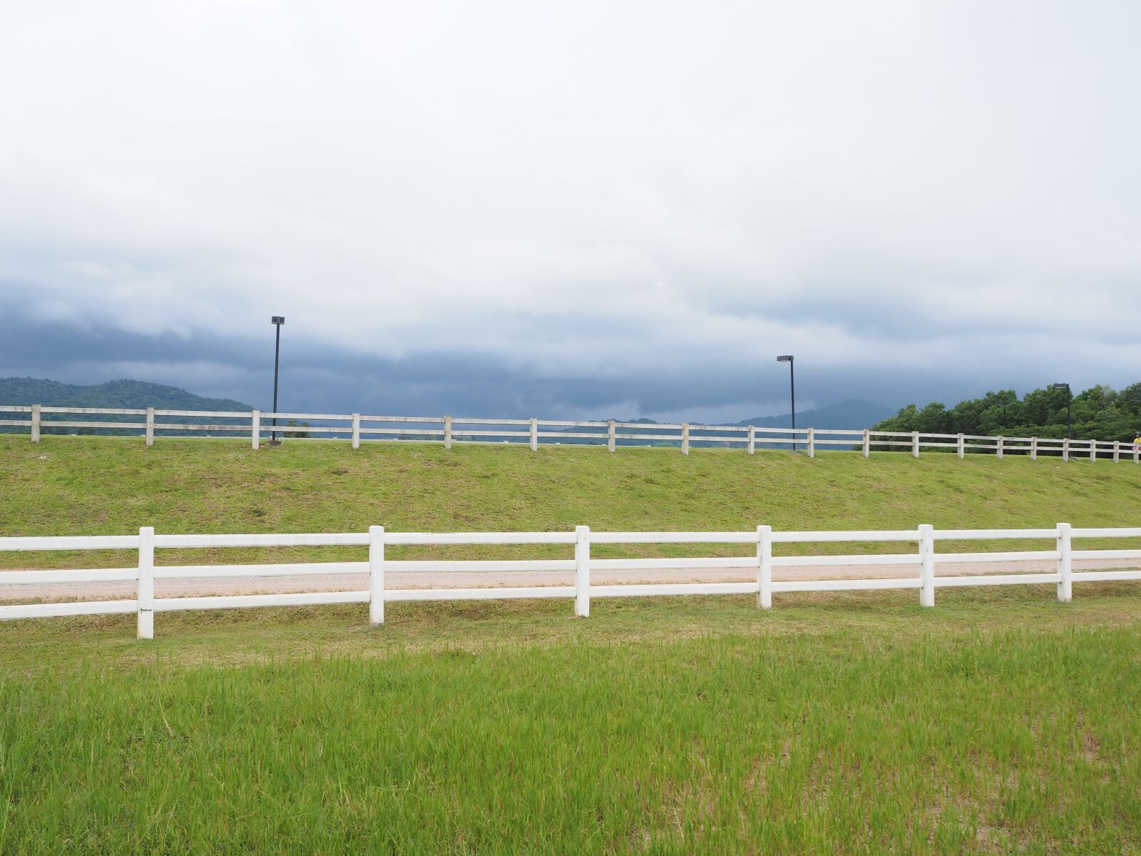 Olympus OM-D E-M10 III sample photo. Fence, view, rai photography