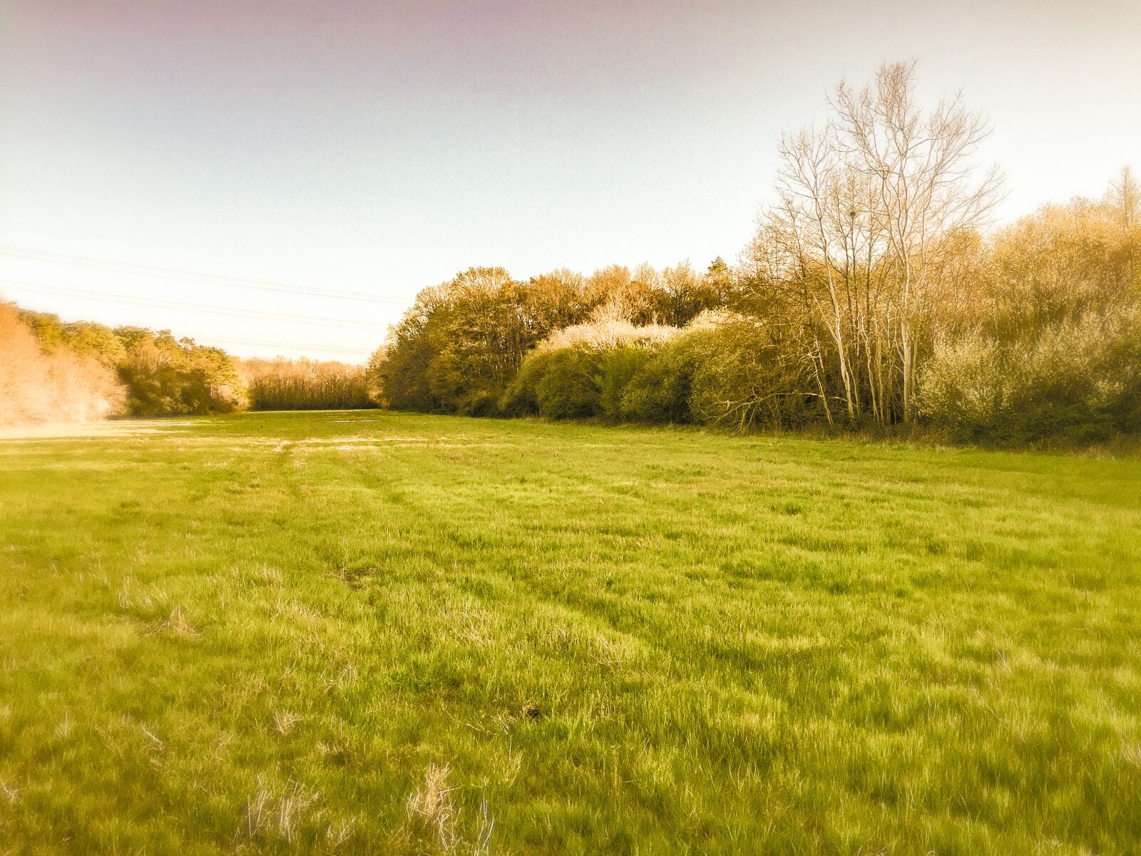 iPhone 6 back camera 4.15mm f/2.2 sample photo. Field, spring, summer photography