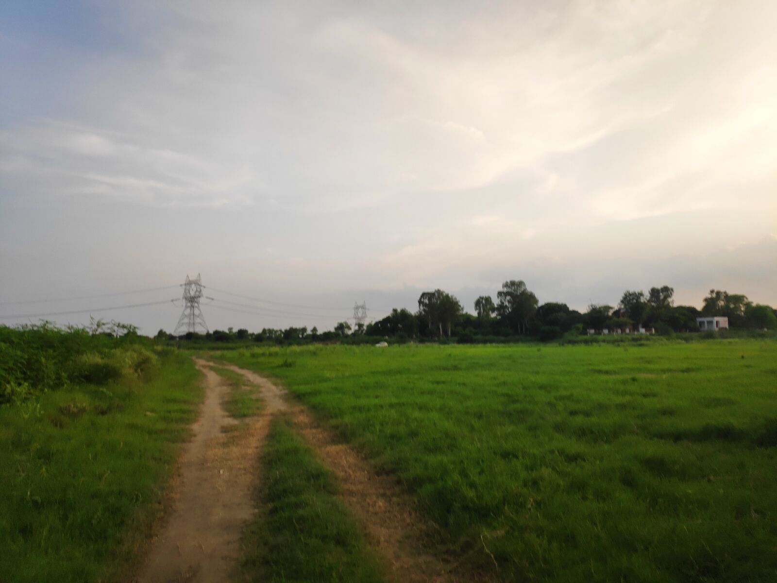 Xiaomi POCO F1 sample photo. Pathway, nature, scenery photography