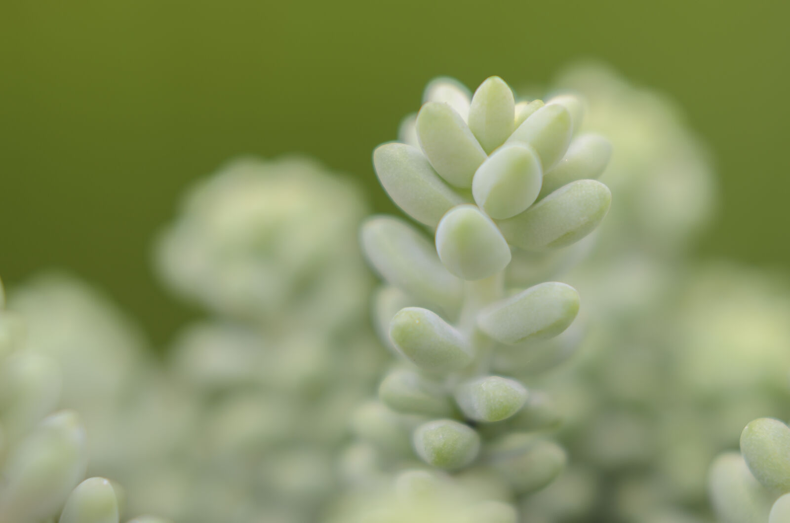 Nikon D7000 + Nikon AF-S Nikkor 50mm F1.8G sample photo. Abstract, abstrato, background, brazilian photography