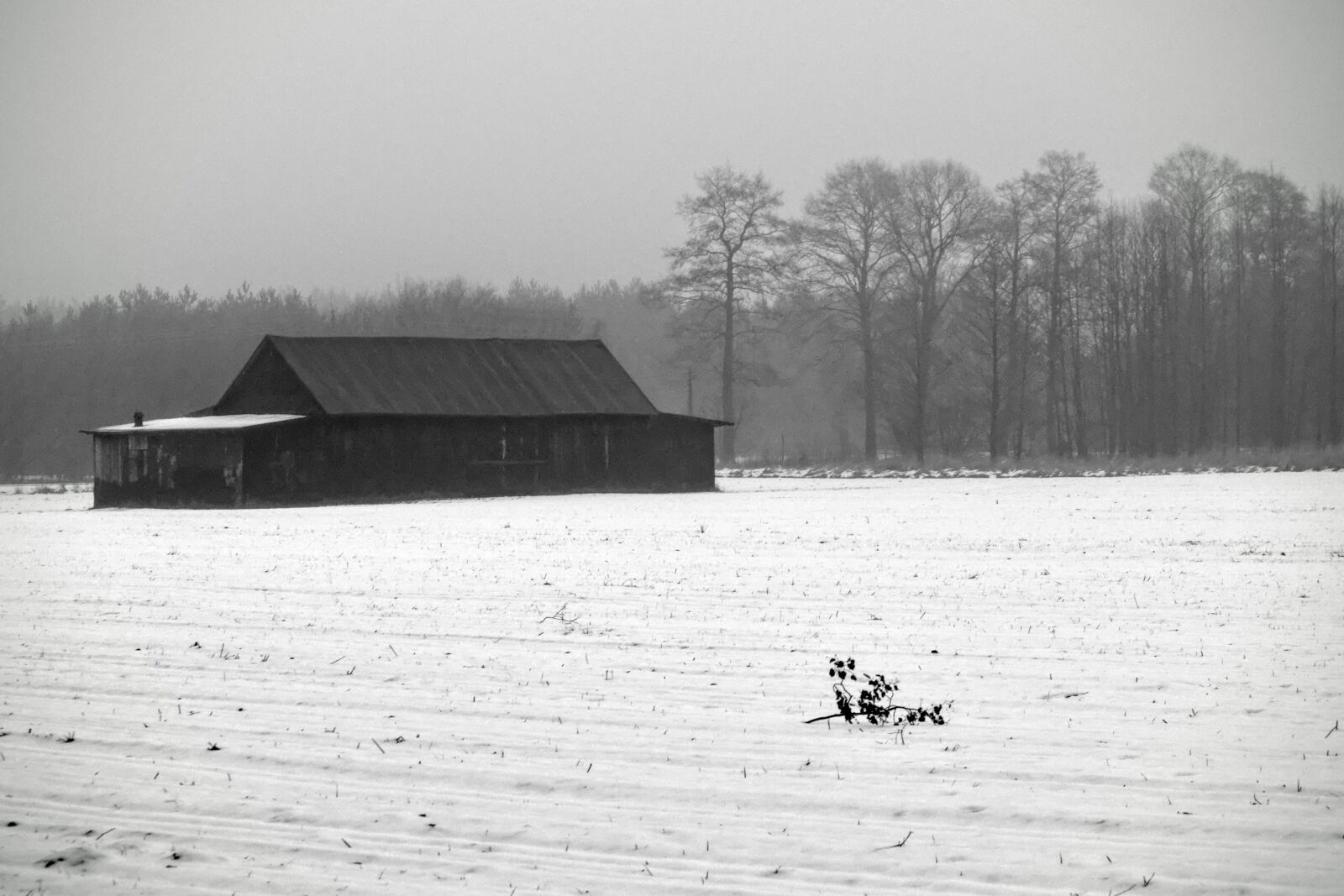Nikon D3200 sample photo. Barn photography
