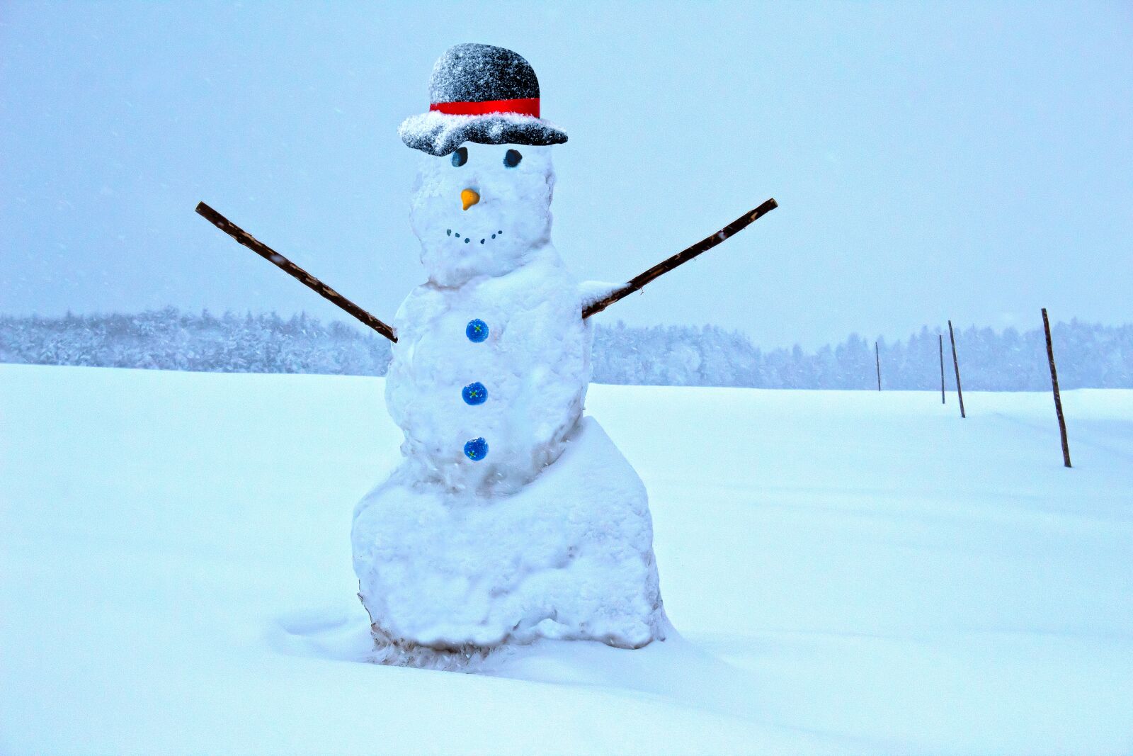 Canon EOS 1300D (EOS Rebel T6 / EOS Kiss X80) sample photo. Snowman, winter, snow photography