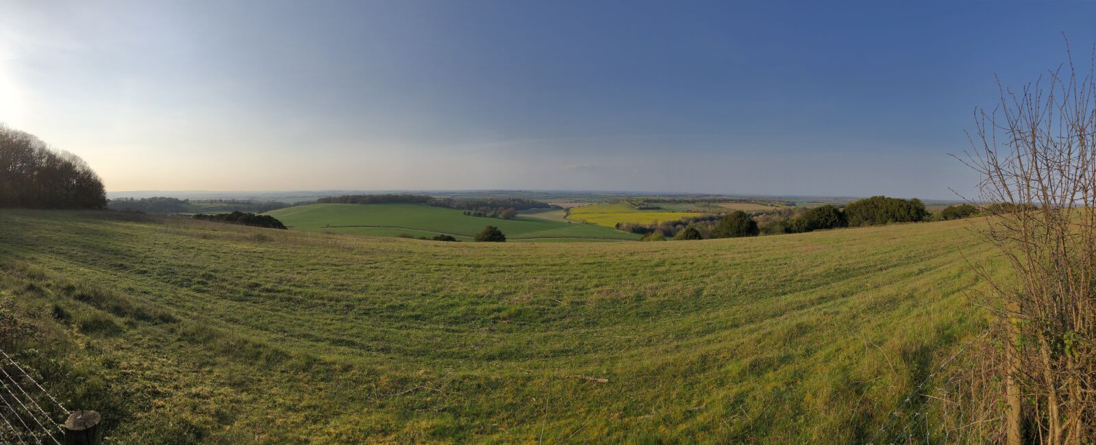 Apple iPhone 8 Plus + iPhone 8 Plus back camera 3.99mm f/1.8 sample photo. Hampshire, countryside, nature photography