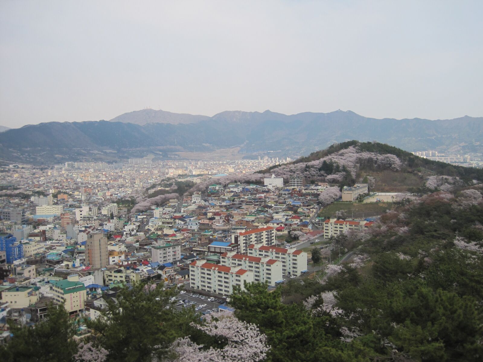 Canon PowerShot SD1200 IS (Digital IXUS 95 IS / IXY Digital 110 IS) sample photo. Jinhae city, south korea photography