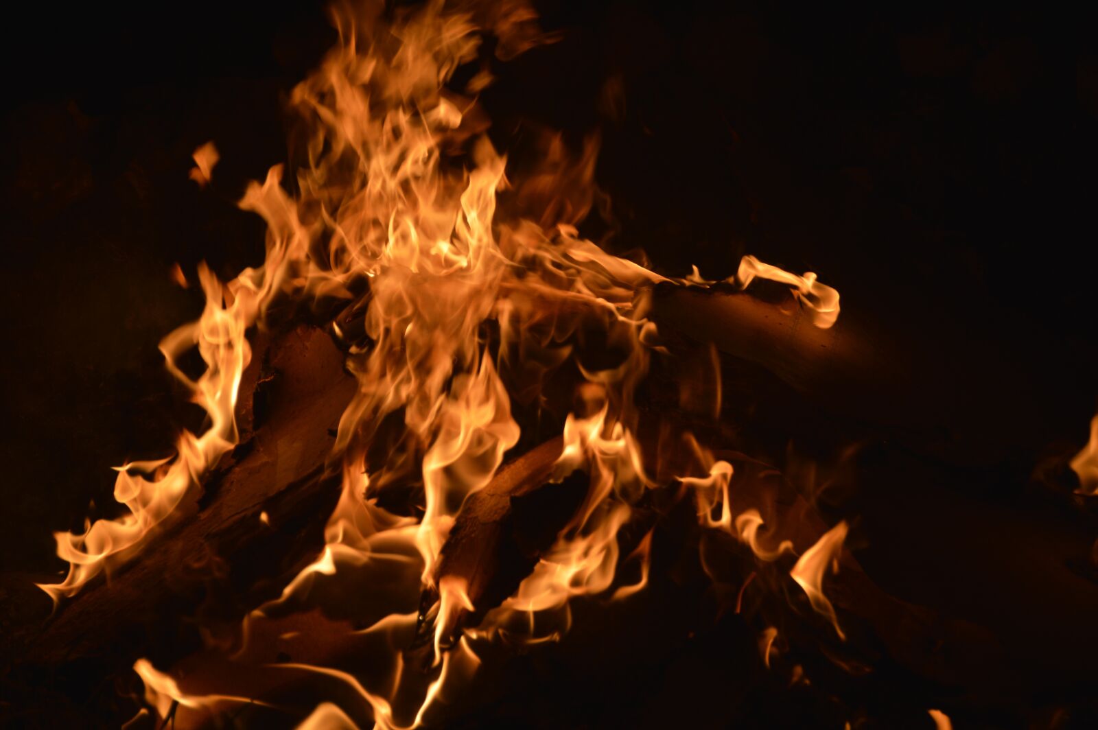 Nikon D3200 sample photo. Fire, burn, l photography