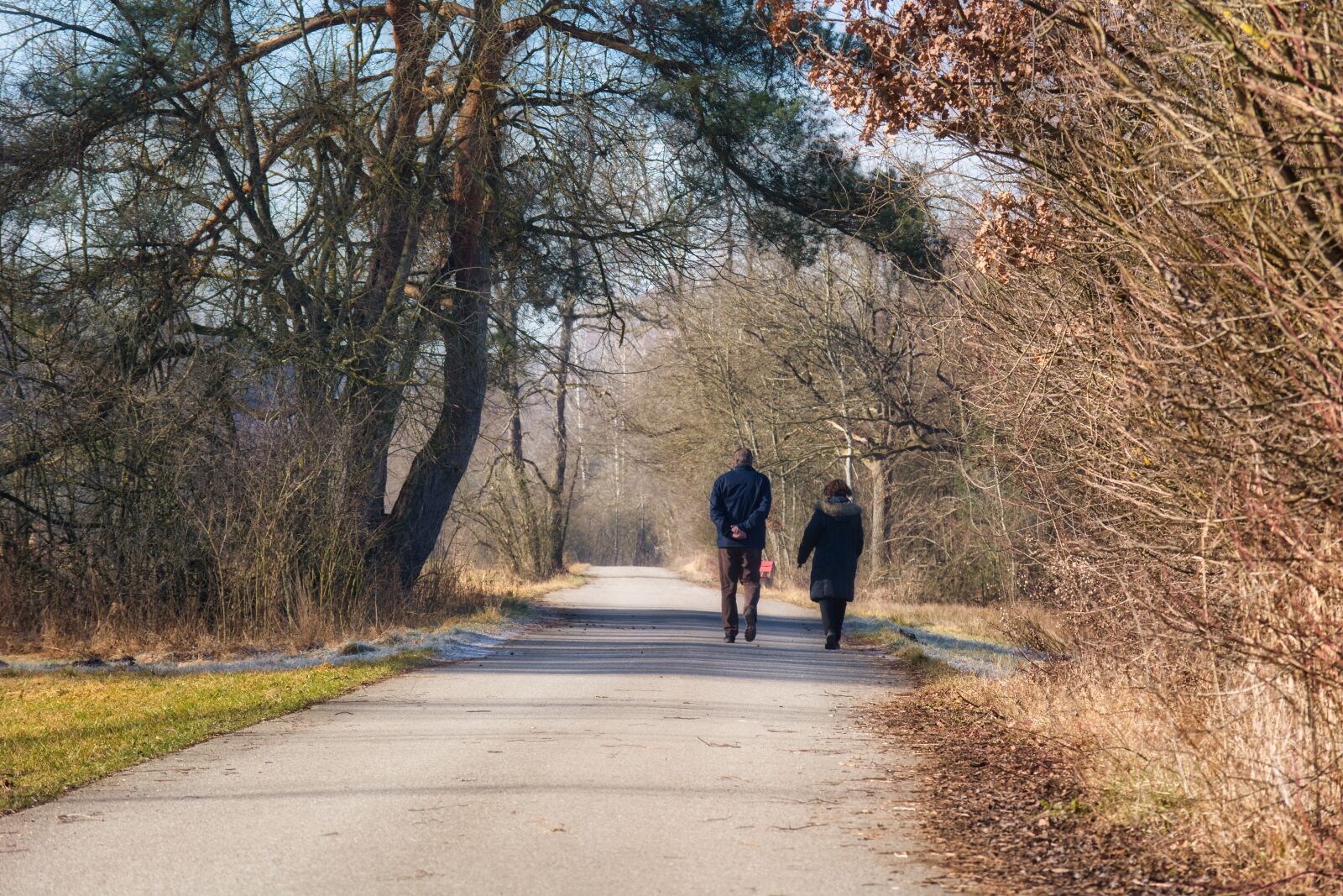 Nikon D7100 sample photo. Hiking, walk, autumn photography