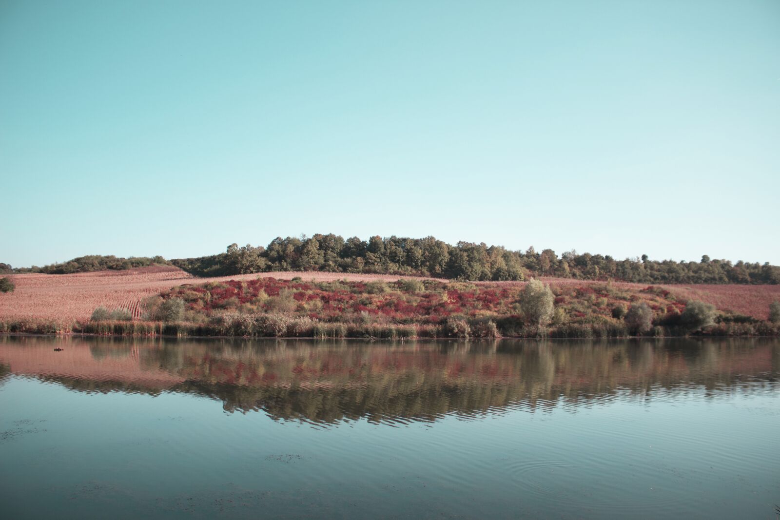 Canon EOS 600D (Rebel EOS T3i / EOS Kiss X5) sample photo. Serbia, lake, fruska mountain photography
