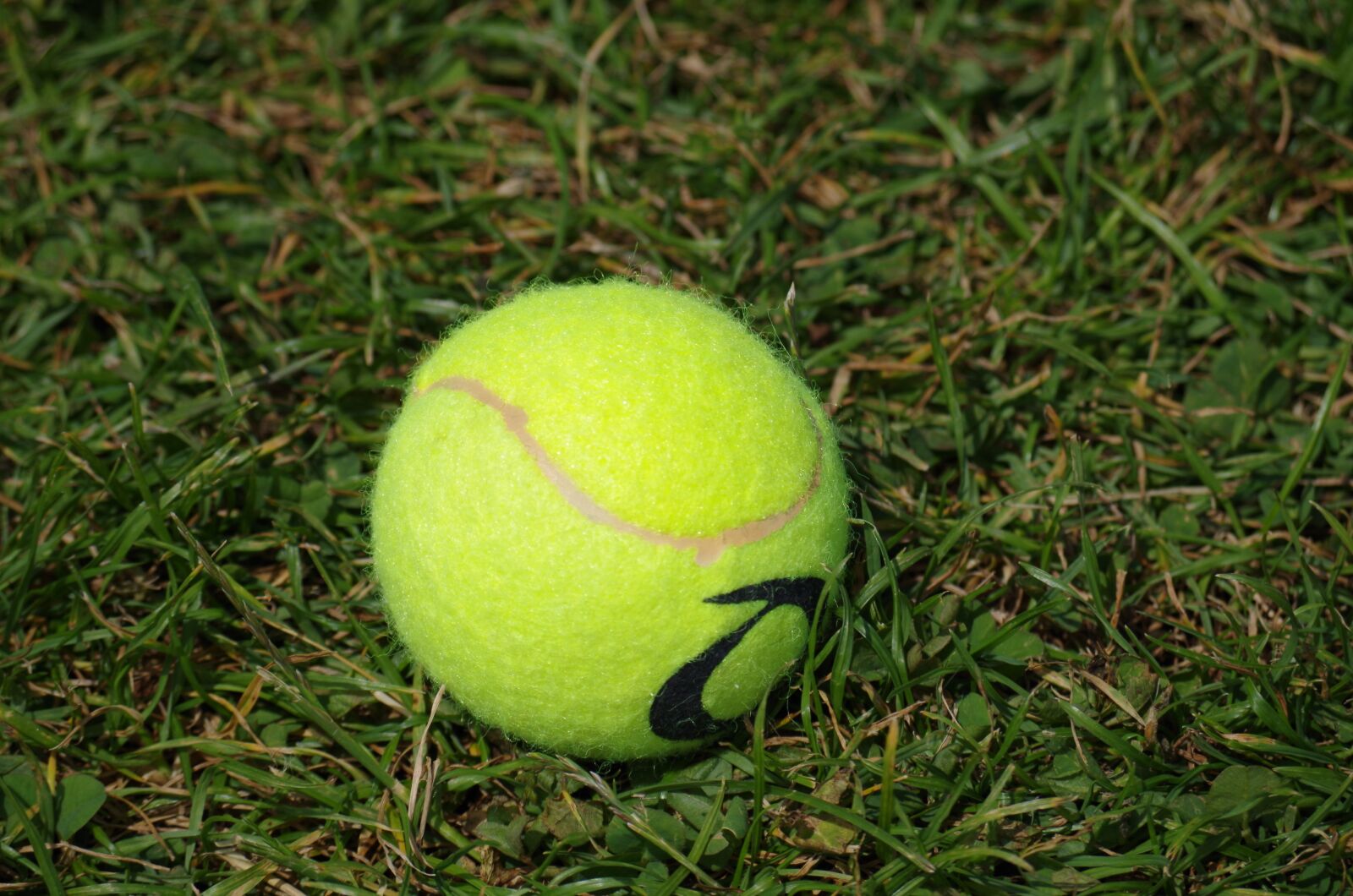 Pentax K-500 sample photo. Tennis ball, game, tennis photography