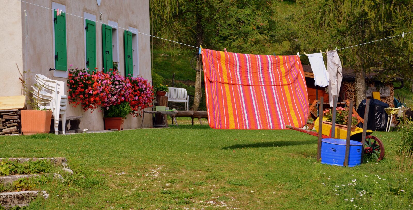 Nikon D7100 sample photo. Laundry, flowers, house photography