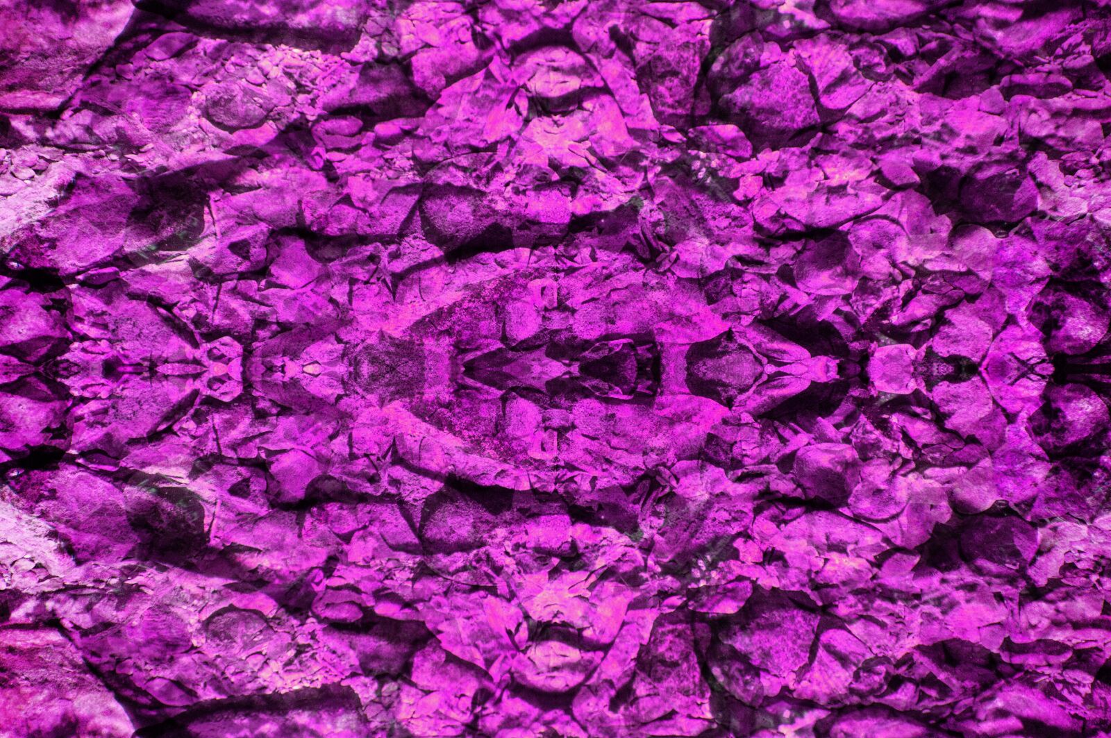 Sony SLT-A57 sample photo. Background, purple, red photography