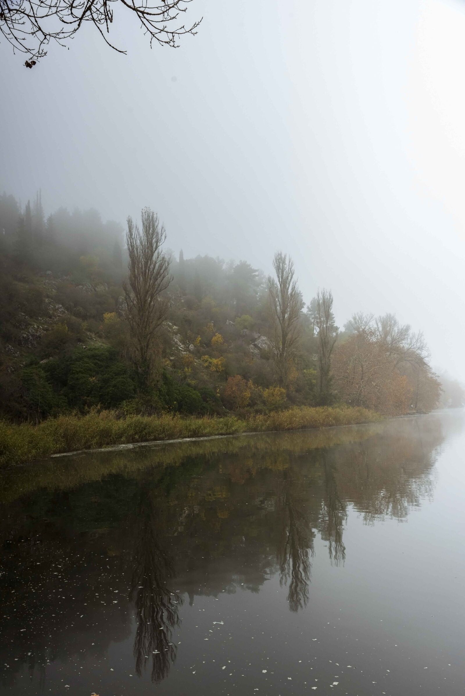 Tamron SP 24-70mm F2.8 Di VC USD sample photo. Lake, trees, haze photography