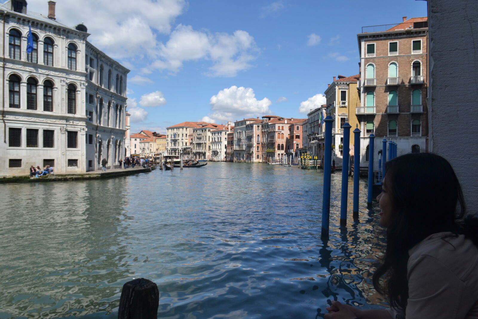 Nikon D3100 sample photo