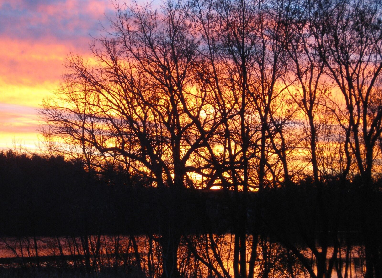 Canon PowerShot SD1100 IS (Digital IXUS 80 IS / IXY Digital 20 IS) sample photo. Lake, sunrise, trees photography