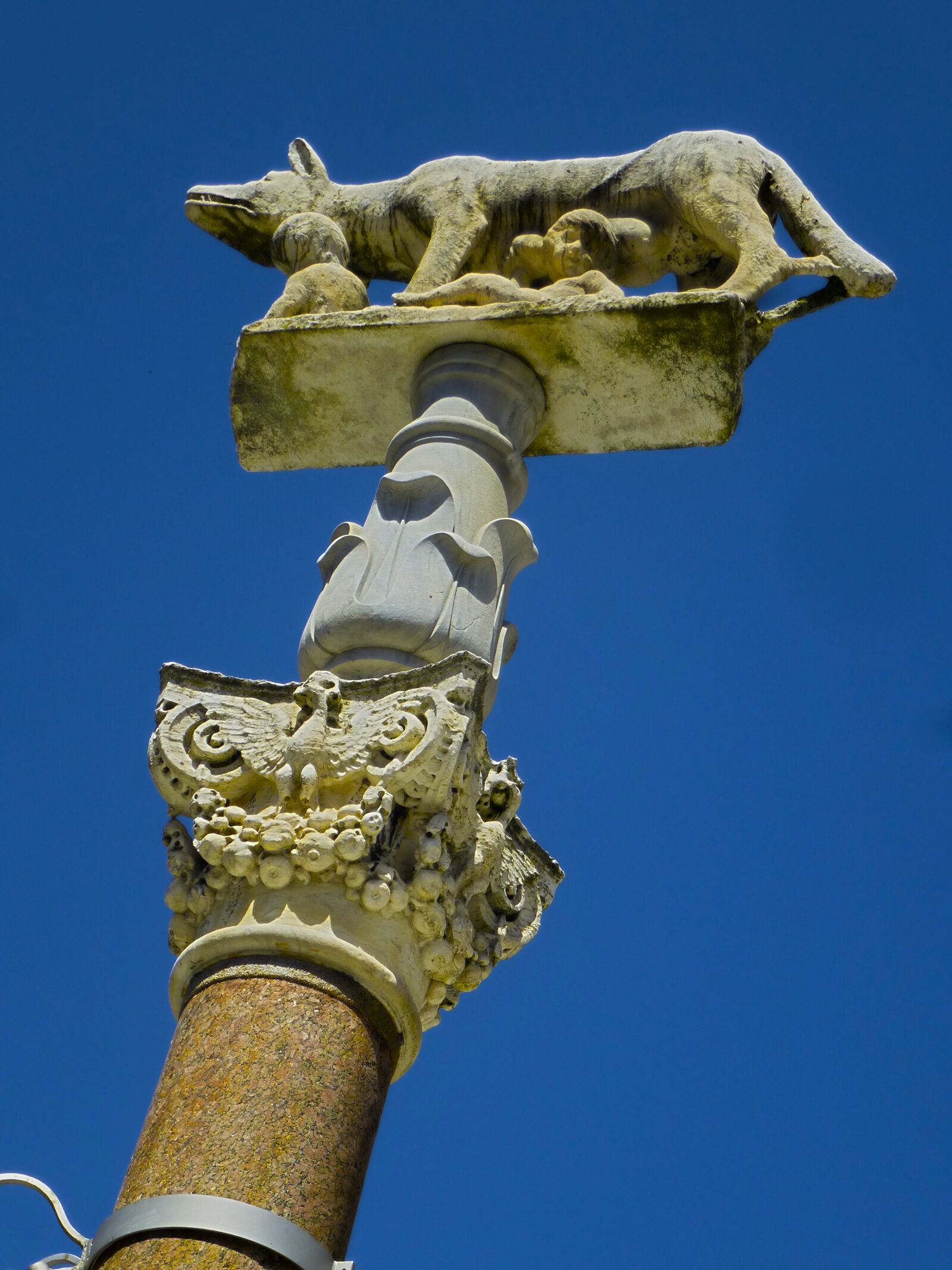 Panasonic Lumix DMC-ZS15 (Lumix DMC-TZ25) sample photo. Italy, she-wolf, romulus and photography