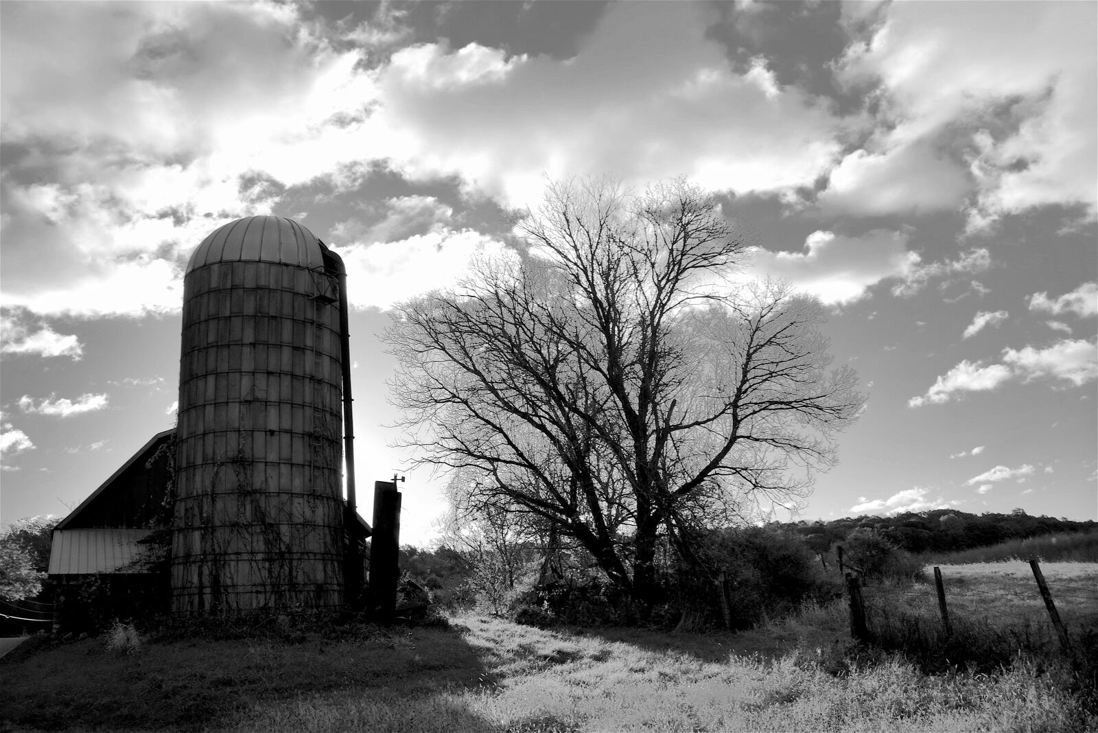 Nikon D3300 sample photo. Barn, silo, farm photography