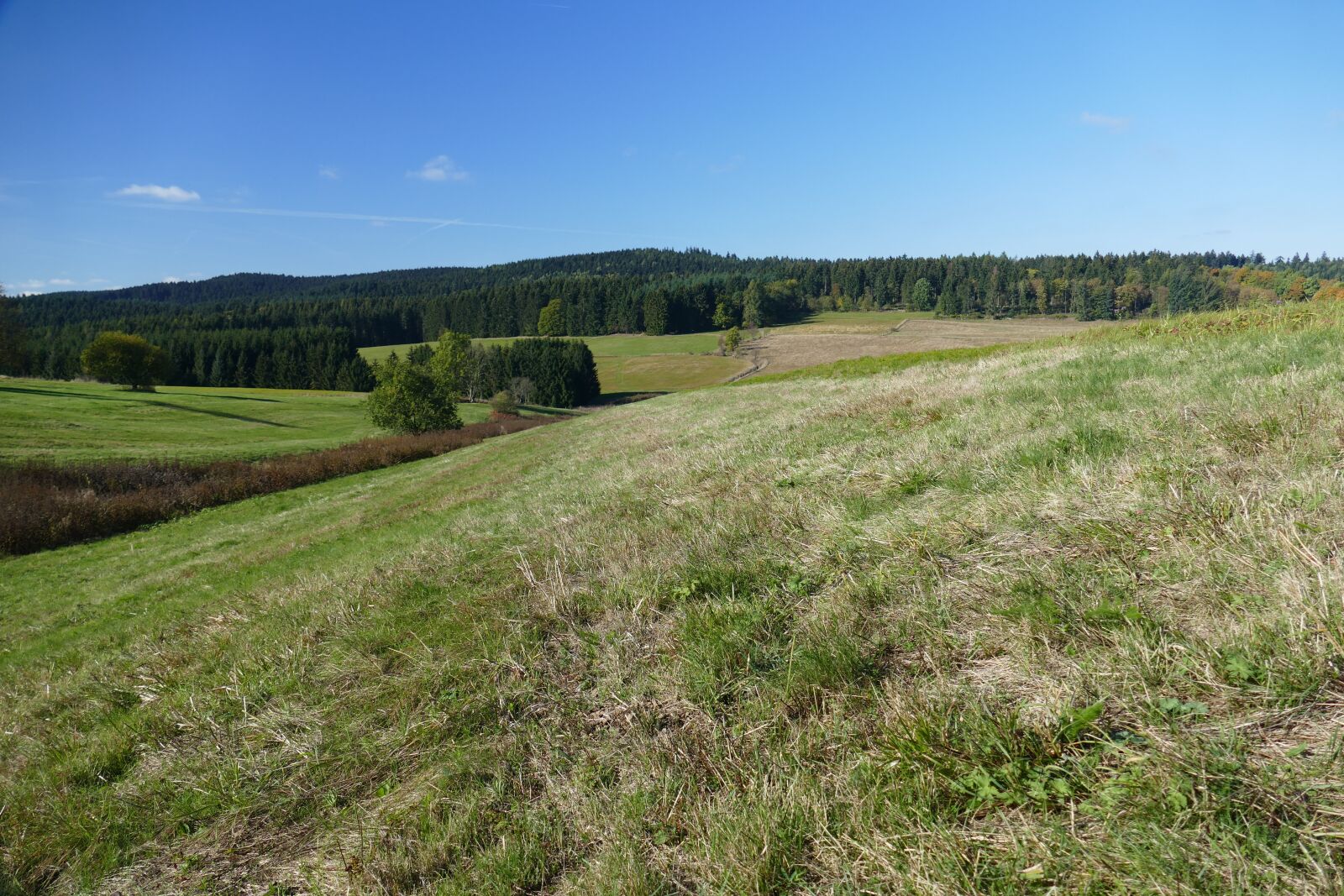 Panasonic Lumix DMC-FZ1000 sample photo. Pasture, landscape, nature photography