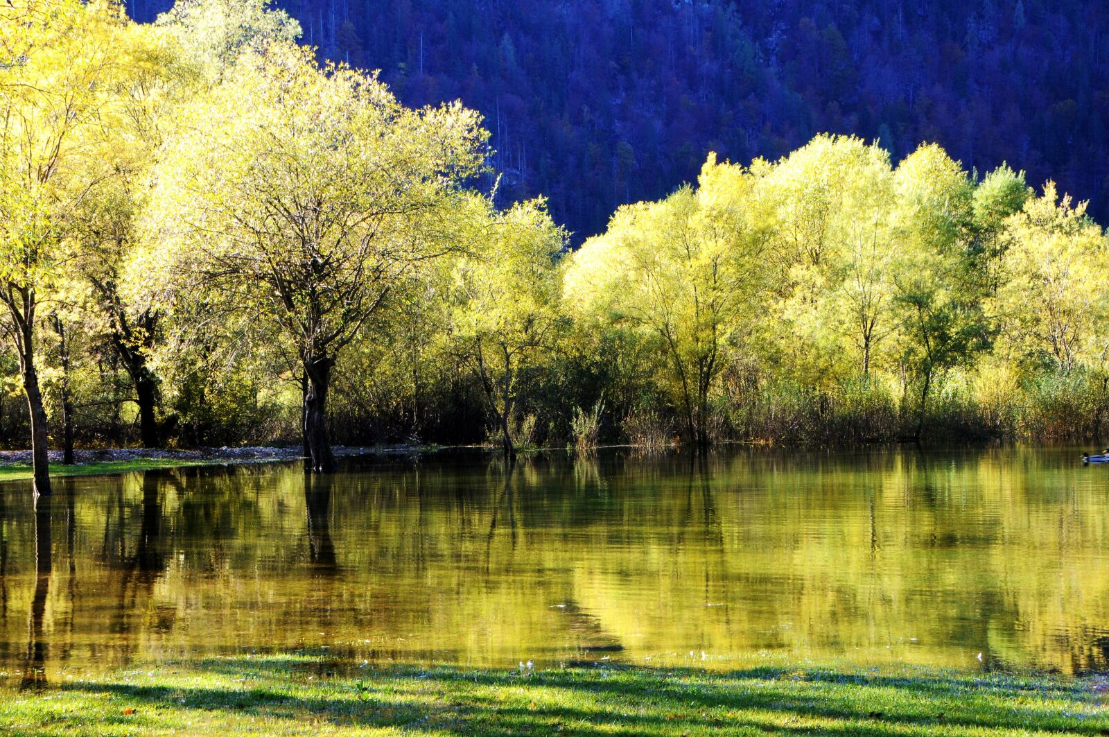 Nikon D300 sample photo. Autumn, reflections, lake photography