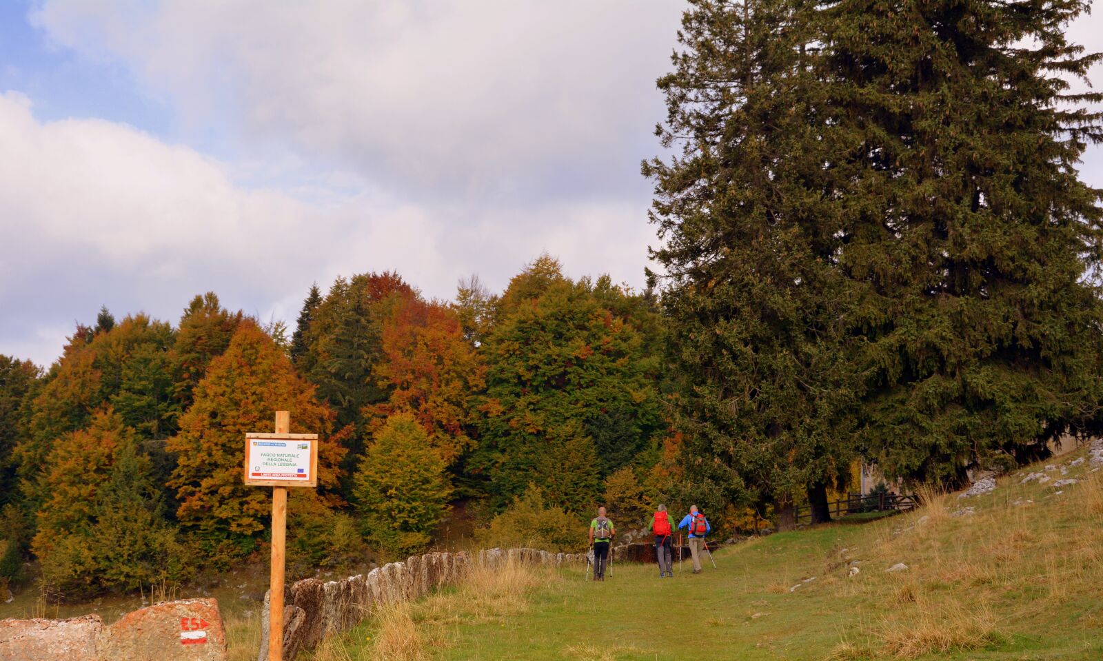 Nikon D7100 sample photo. Excursion, forest, autumn photography