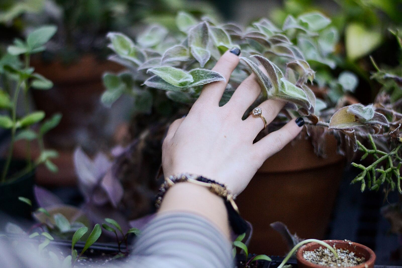 Nikon D3100 sample photo. Blur, bracelet, close-up photography