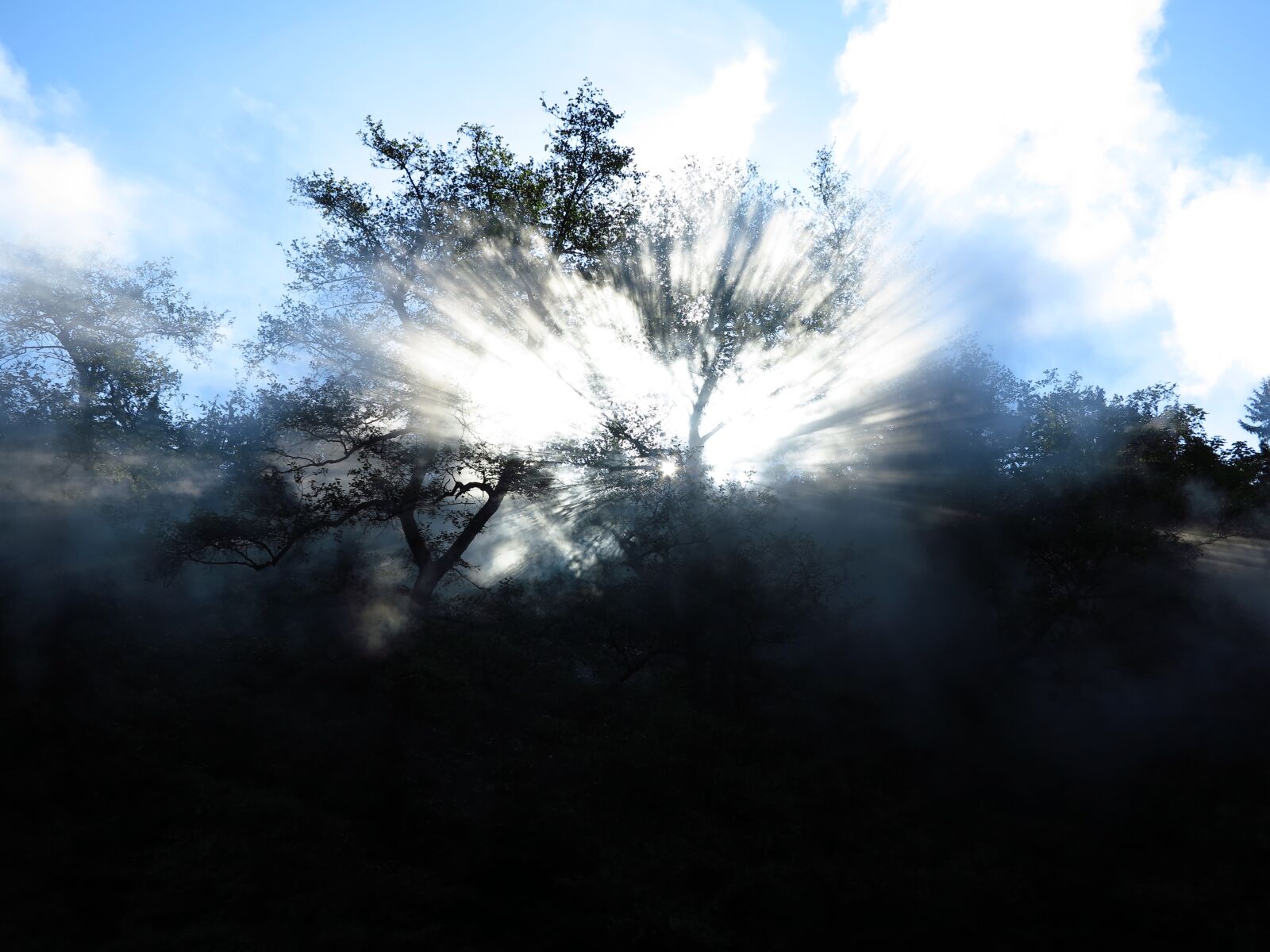 Canon PowerShot G1 X sample photo. Steam, loco, tree photography