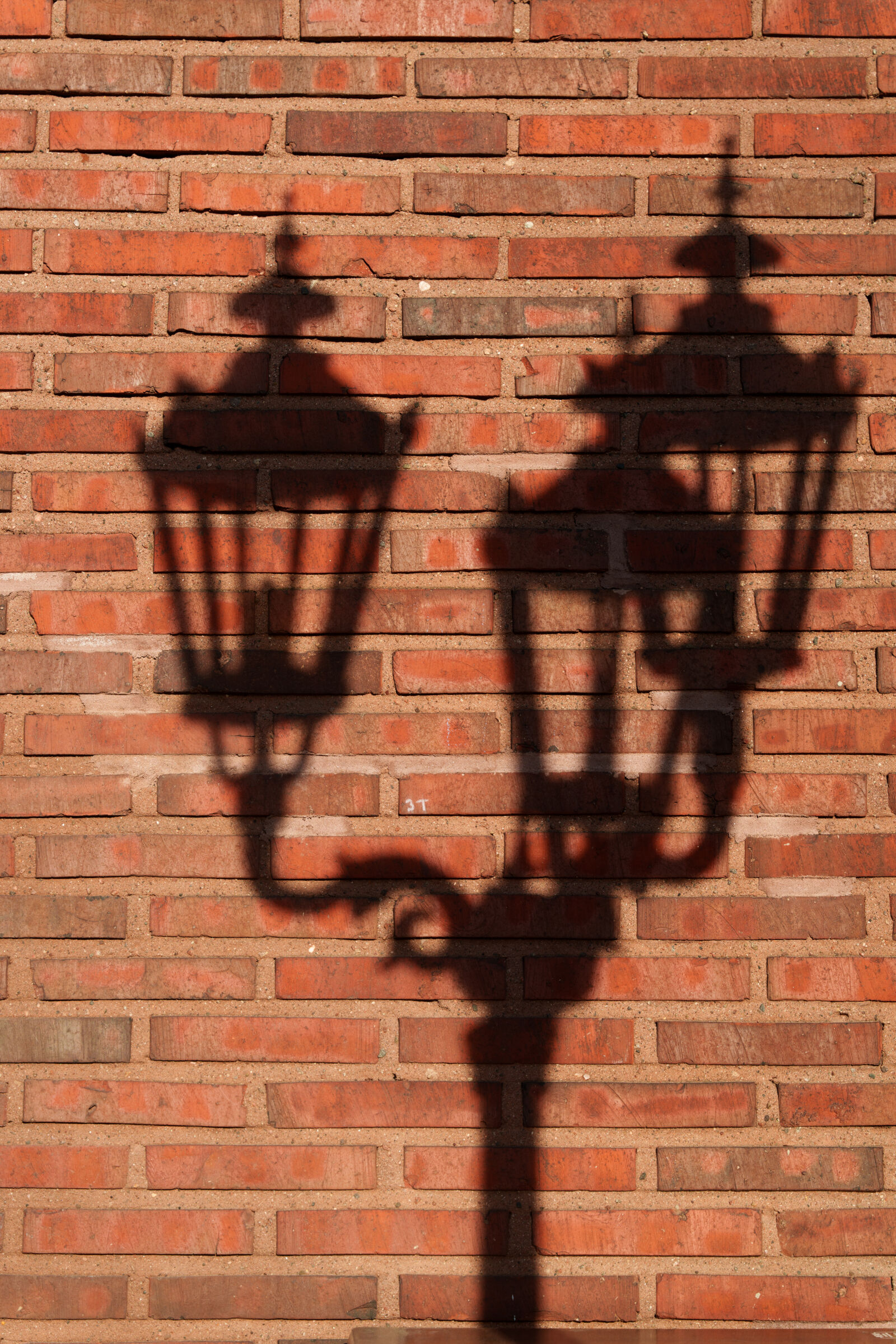 Sony a7R V sample photo. Lamppost shadow photography