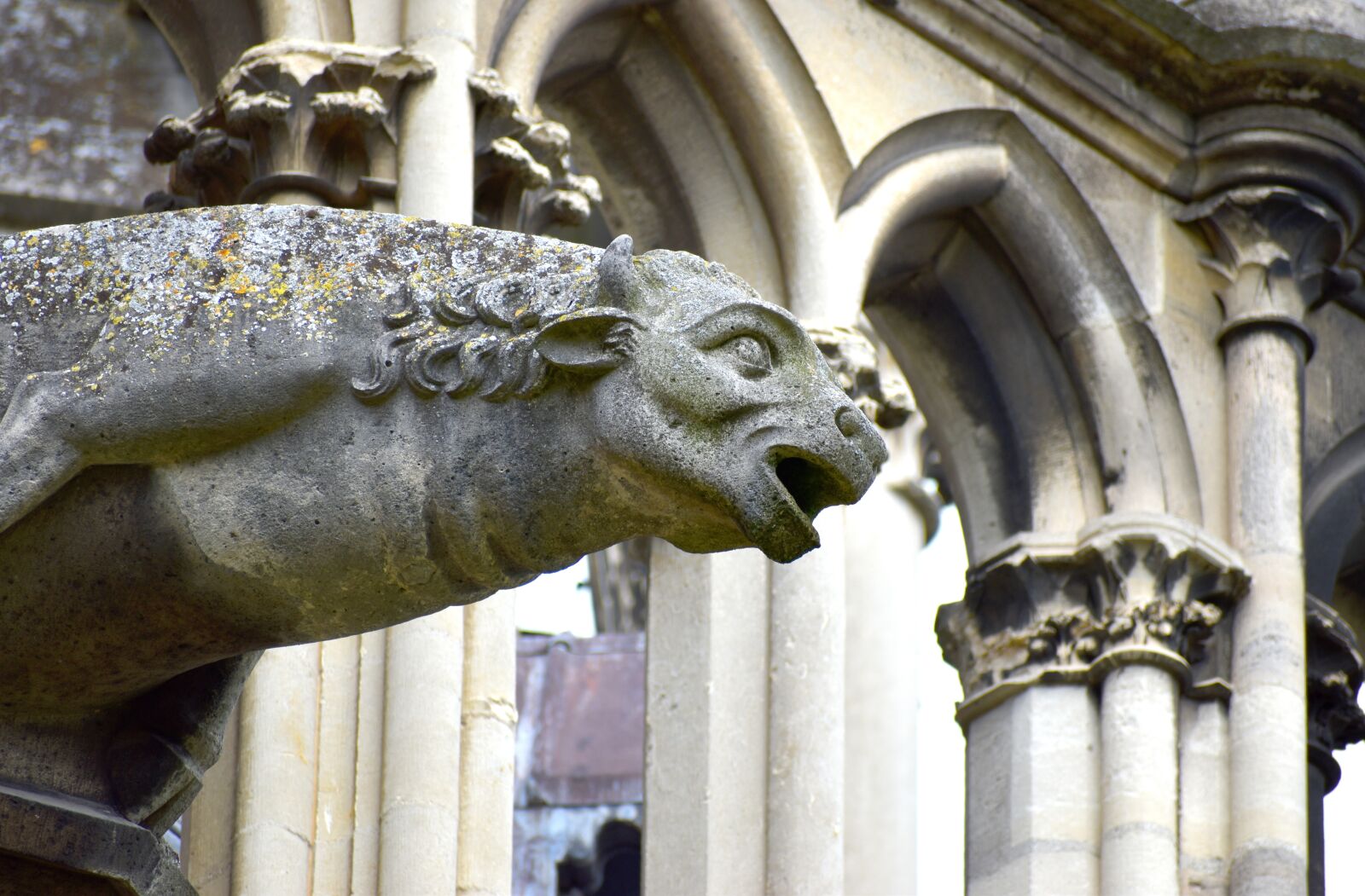 Nikon D5600 sample photo. Gargoyle, bull, mystical photography