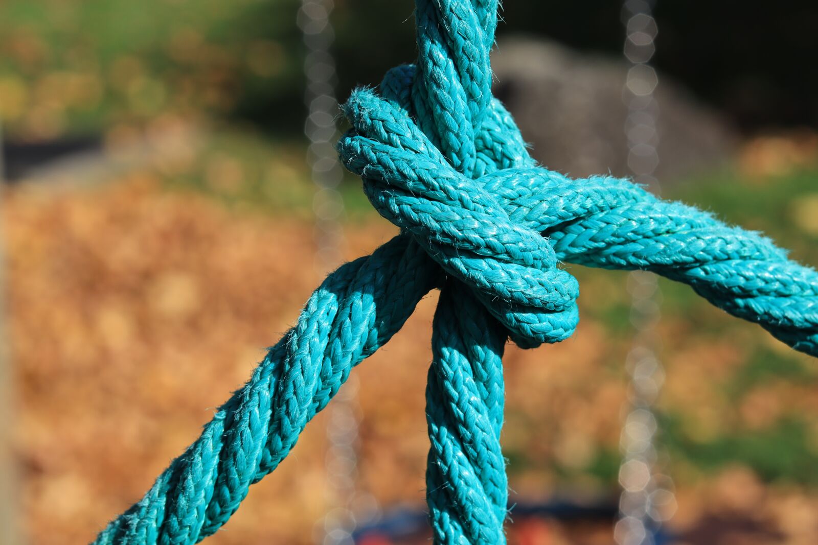 Canon EOS 250D (EOS Rebel SL3 / EOS Kiss X10 / EOS 200D II) sample photo. Knot, rope, turquoise photography