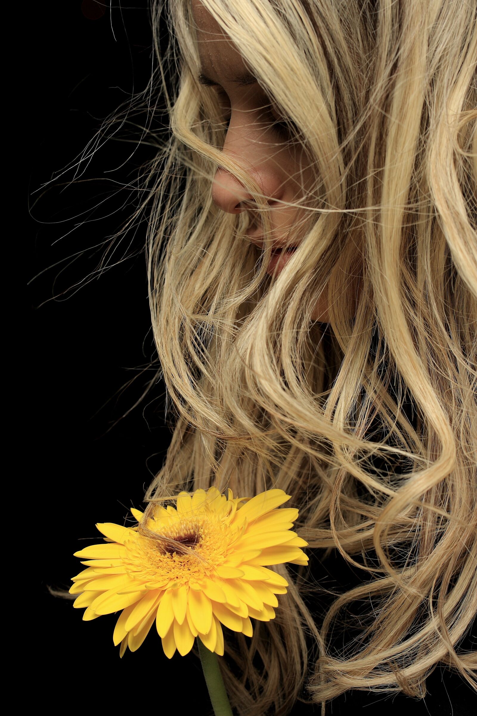 Canon EOS 40D sample photo. Model, yellow, flower photography