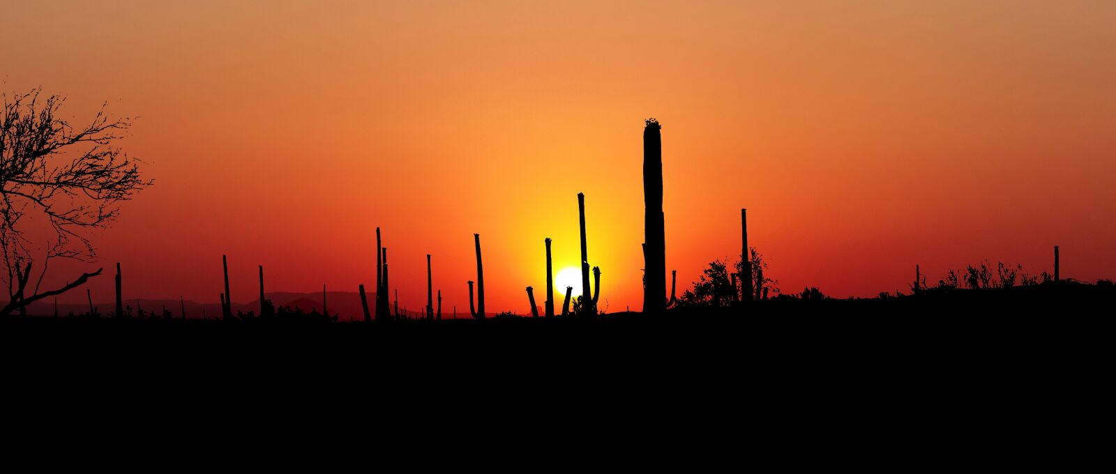 Panasonic Lumix DMC-FZ200 sample photo. Sunset, arizona, america photography