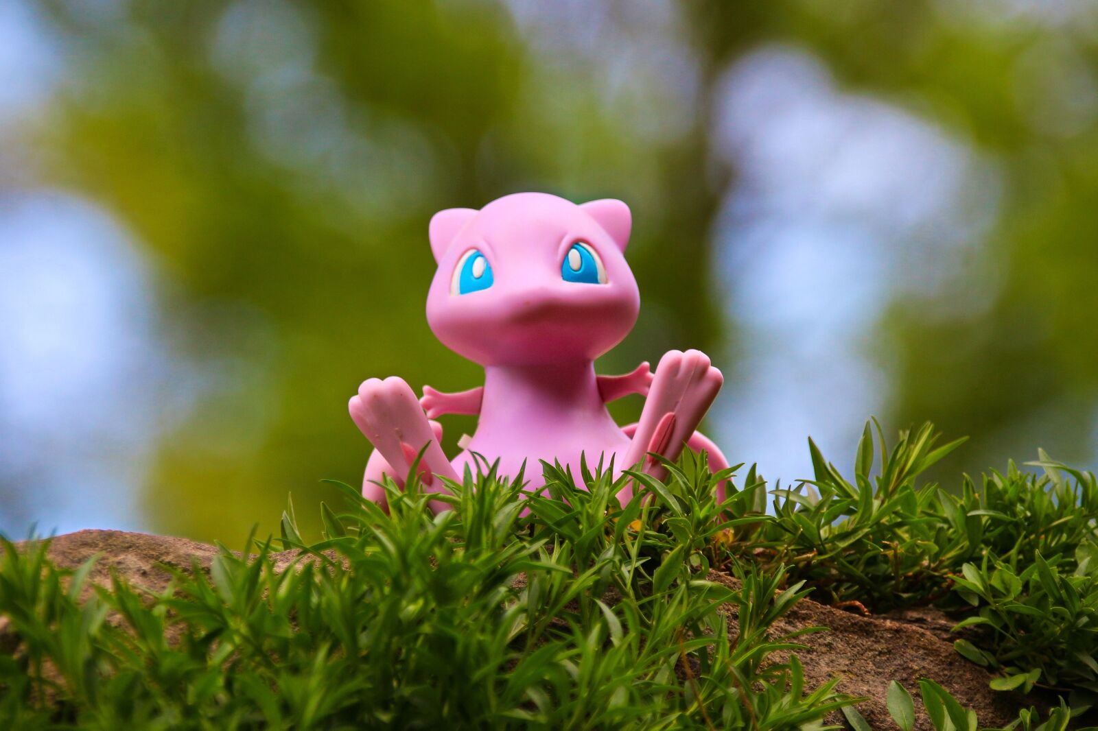Canon EOS 700D (EOS Rebel T5i / EOS Kiss X7i) sample photo. Pokemon, toys, play photography