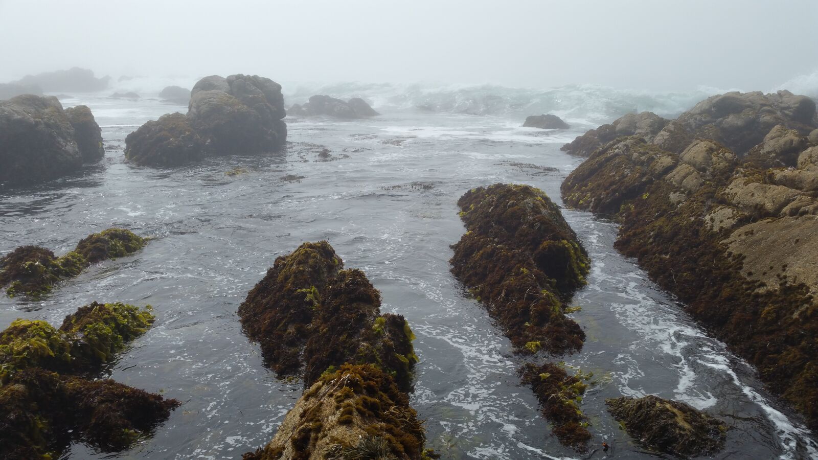 Samsung Galaxy Note4 sample photo. Fog, mist, ocean, rocks photography