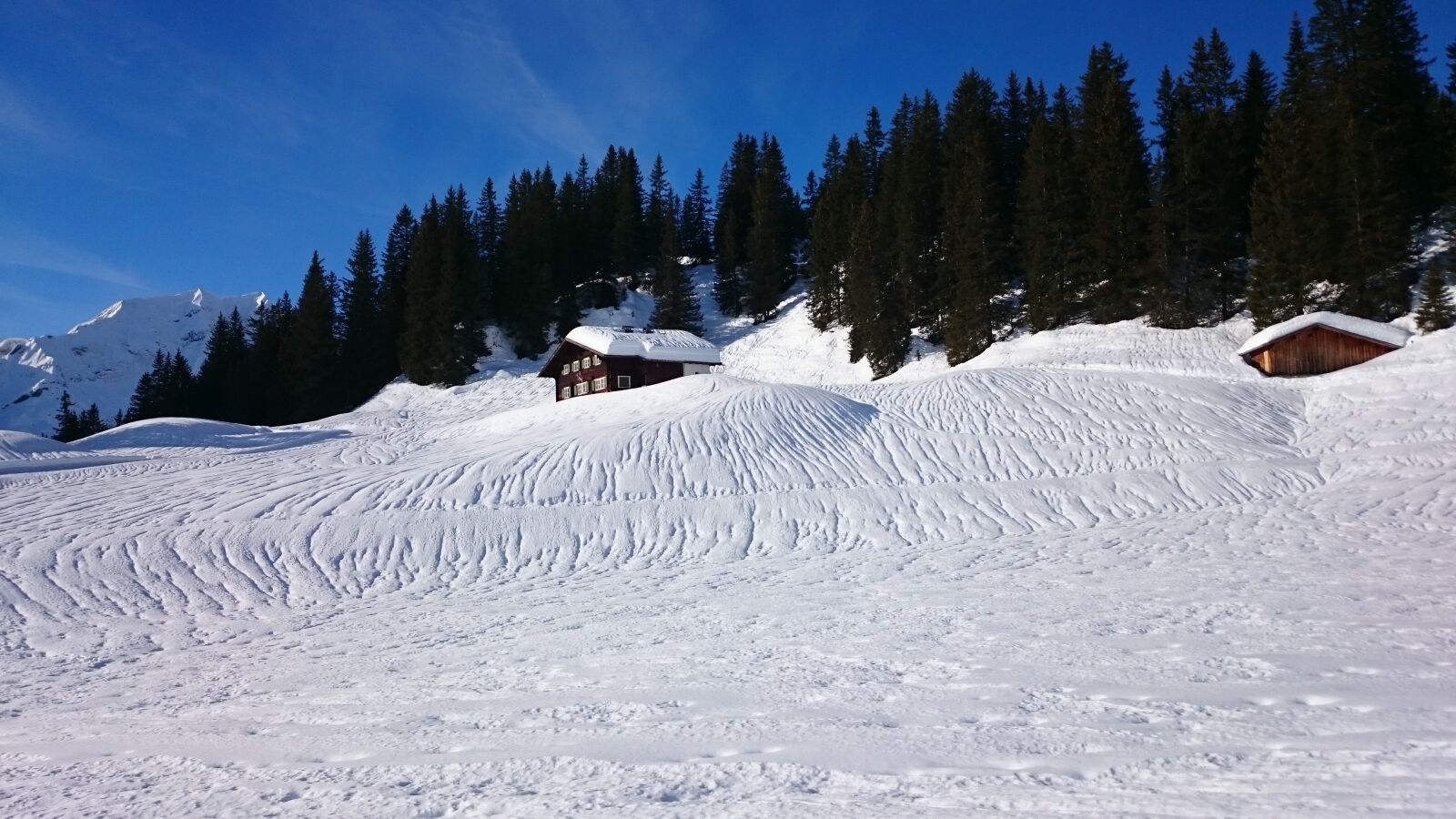 Sony Xperia Z1 Compact sample photo. Winter, snow, cold photography