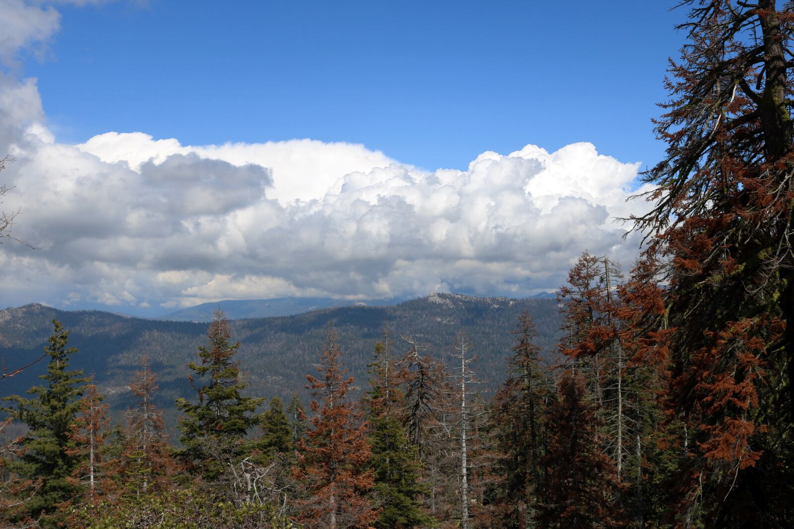 Canon EOS 750D (EOS Rebel T6i / EOS Kiss X8i) sample photo. Nature, outdoor, adventure photography