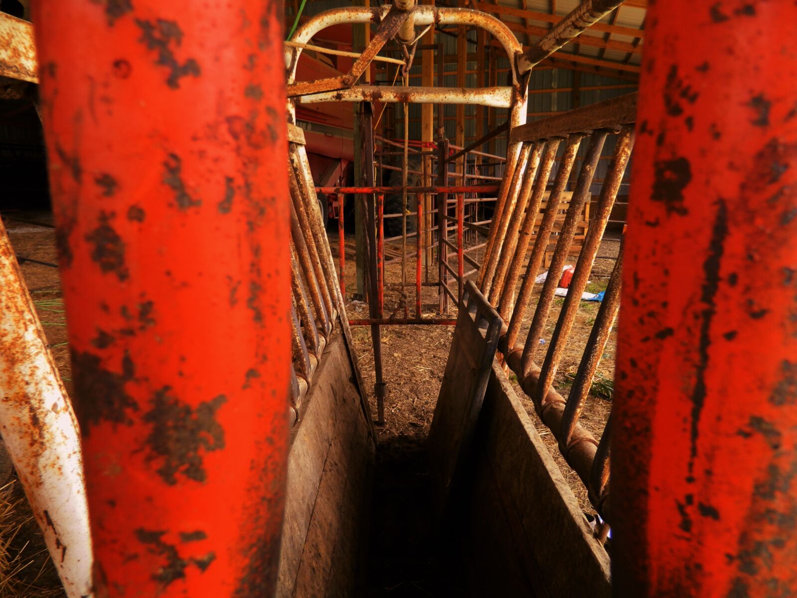 Nikon Coolpix L120 sample photo. Farm equipment, cattle farm photography