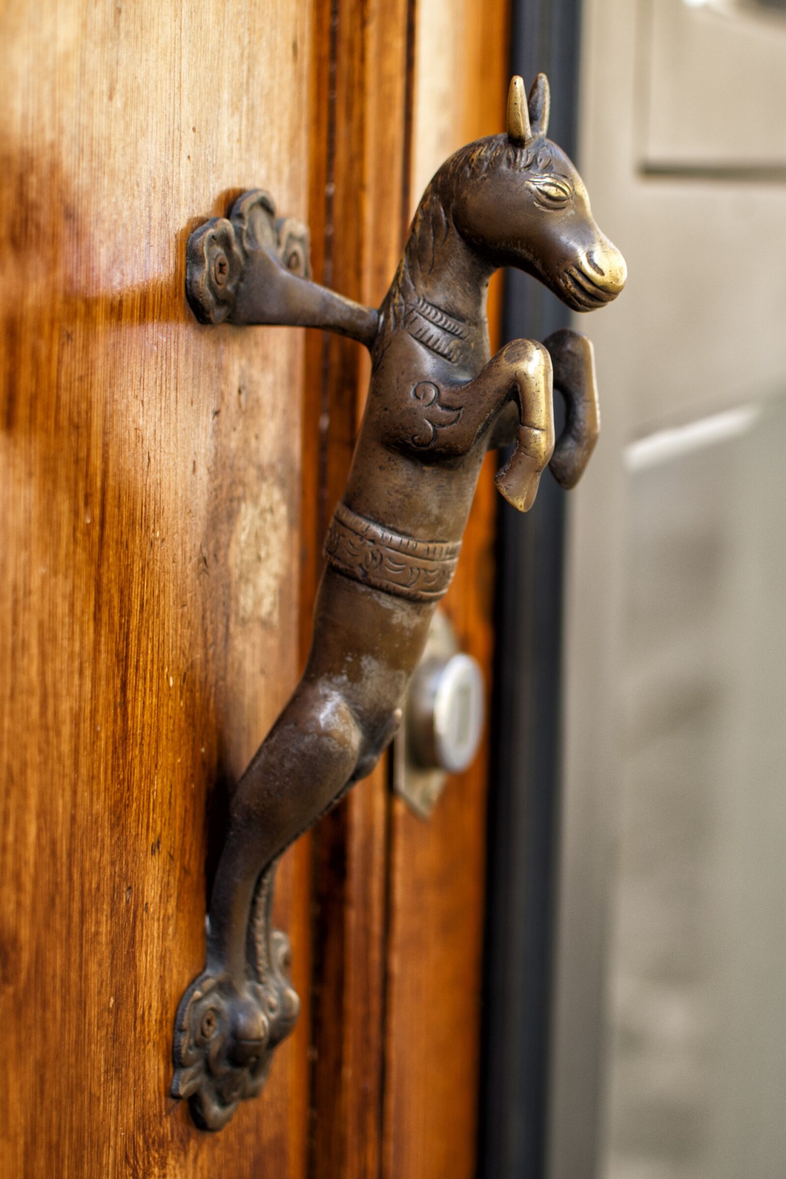 Nikon D80 sample photo. Old door handle, florence photography