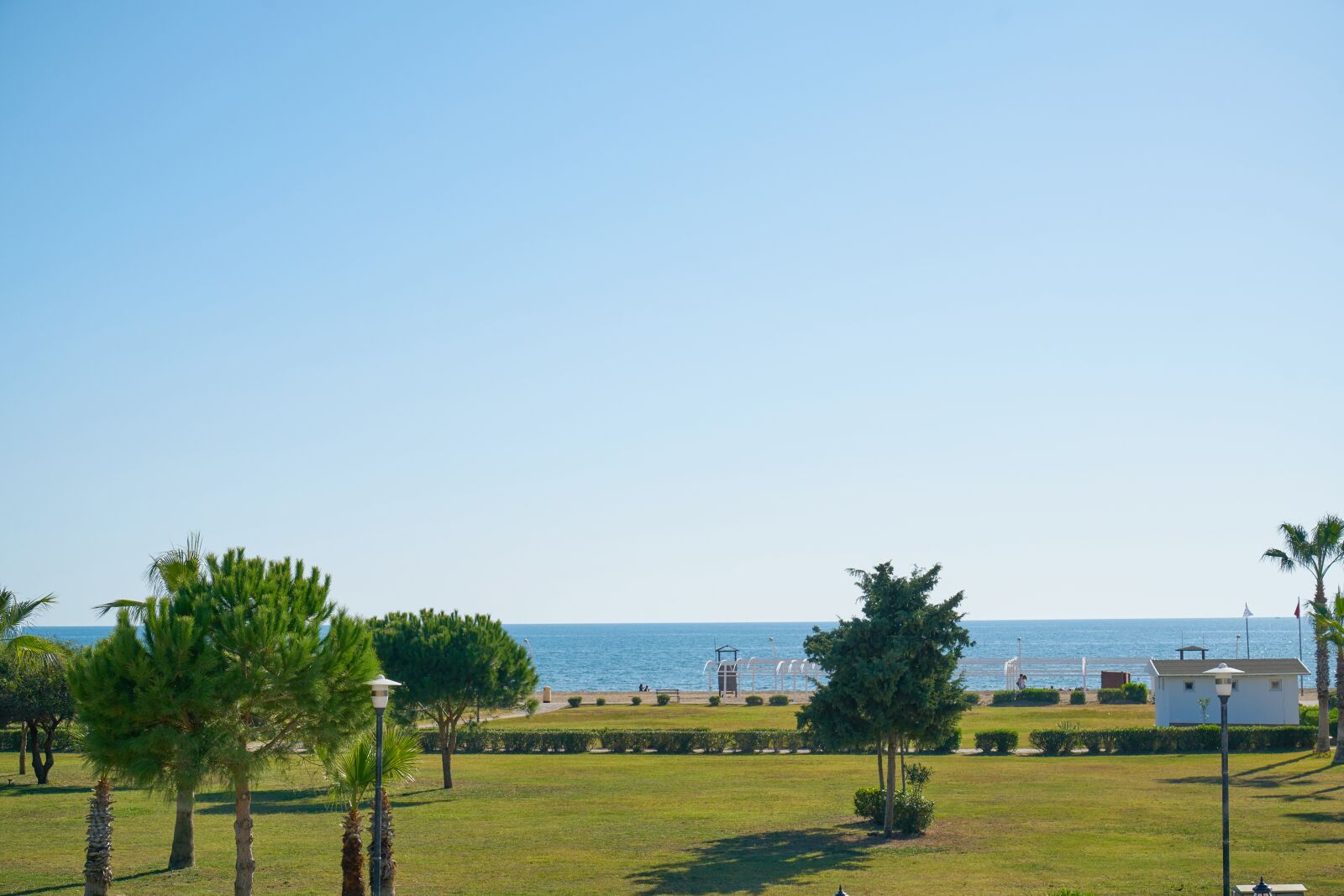 Sony a7R II sample photo. Landscape, nature, green photography